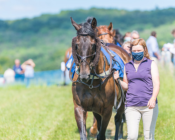 Race 5 - Novice riders (31 of 418)