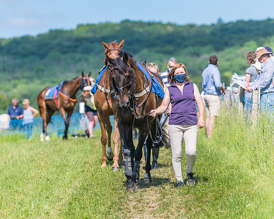 Race 5 - Novice riders (27 of 418)
