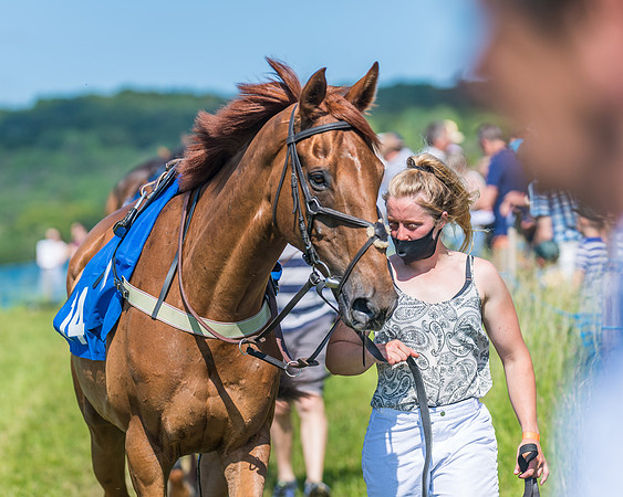 Race 5 - Novice riders (35 of 418)