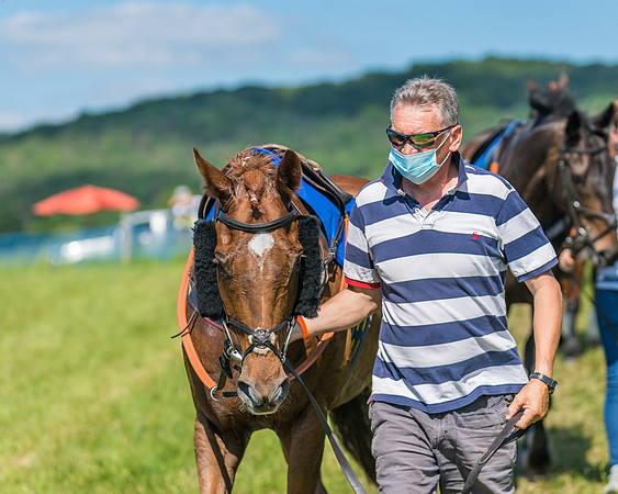Race 5 - Novice riders (39 of 418)