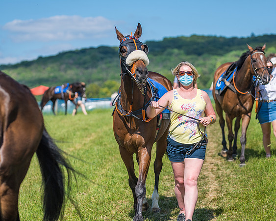 Race 5 - Novice riders (46 of 418)
