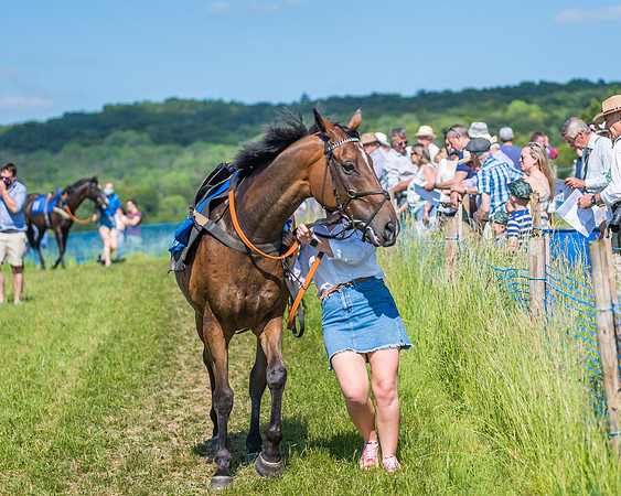 Race 5 - Novice riders (51 of 418)
