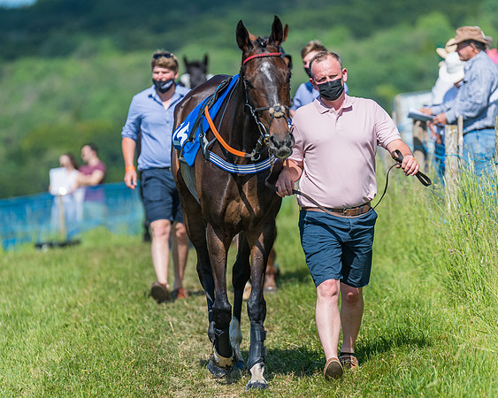 Race 5 - Novice riders (58 of 418)