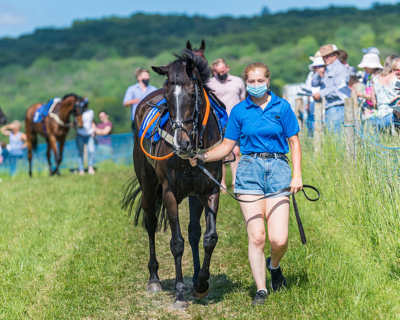 Race 5 - Novice riders (55 of 418)