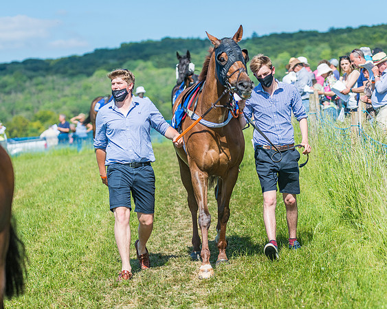 Race 5 - Novice riders (61 of 418)