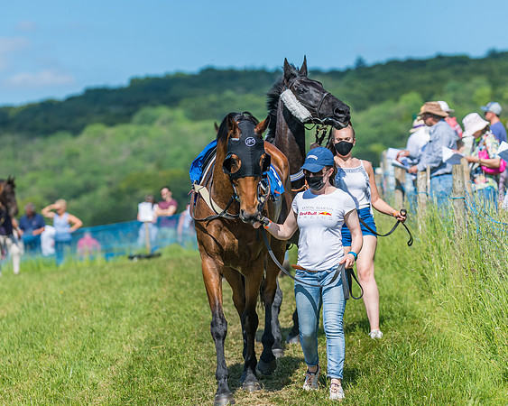 Race 5 - Novice riders (66 of 418)