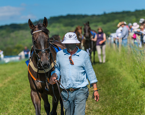 Race 5 - Novice riders (69 of 418)