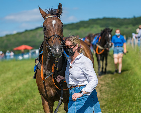 Race 5 - Novice riders (77 of 418)