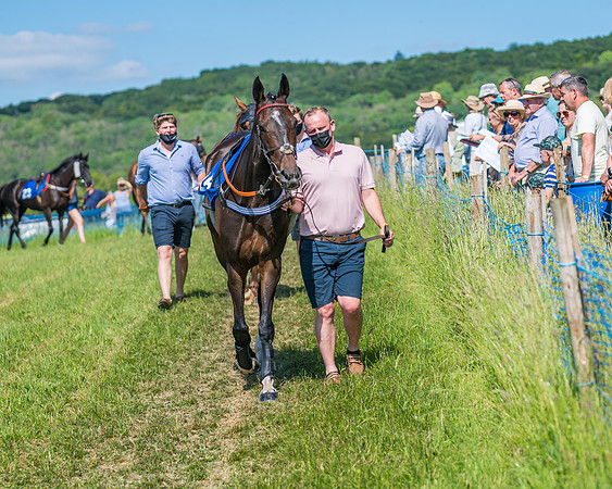 Race 5 - Novice riders (79 of 418)