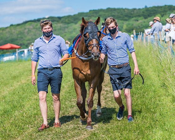 Race 5 - Novice riders (82 of 418)