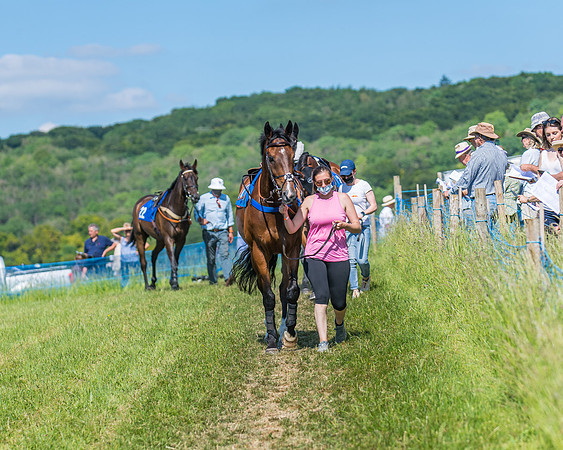 Race 5 - Novice riders (83 of 418)