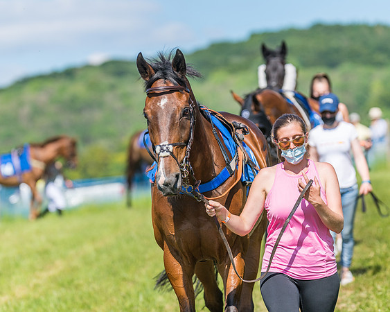 Race 5 - Novice riders (88 of 418)