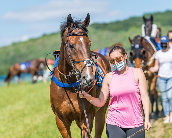 Race 5 - Novice riders (89 of 418)