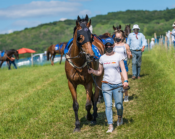 Race 5 - Novice riders (92 of 418)