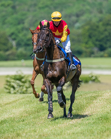 Race 5 - Novice riders (99 of 418)