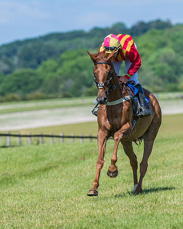 Race 5 - Novice riders (100 of 418)