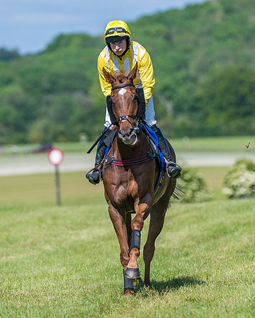 Race 5 - Novice riders (105 of 418)