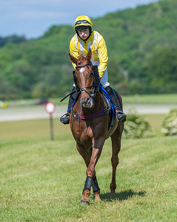 Race 5 - Novice riders (106 of 418)