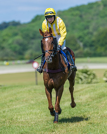 Race 5 - Novice riders (107 of 418)