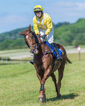 Race 5 - Novice riders (109 of 418)