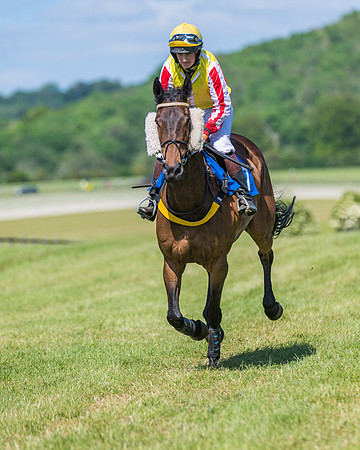 Race 5 - Novice riders (118 of 418)