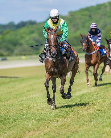 Race 5 - Novice riders (126 of 418)