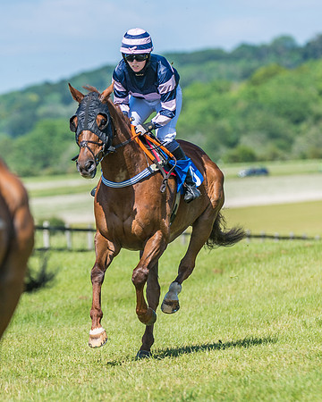 Race 5 - Novice riders (131 of 418)