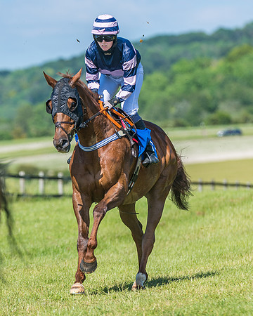Race 5 - Novice riders (132 of 418)