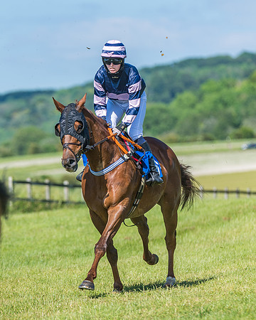 Race 5 - Novice riders (133 of 418)