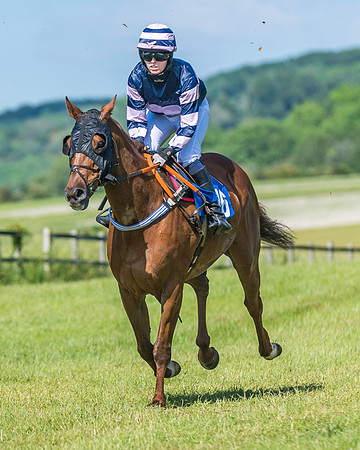 Race 5 - Novice riders (134 of 418)