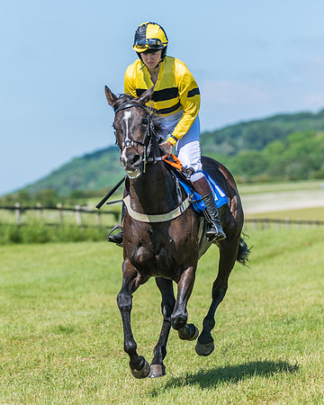 Race 5 - Novice riders (137 of 418)