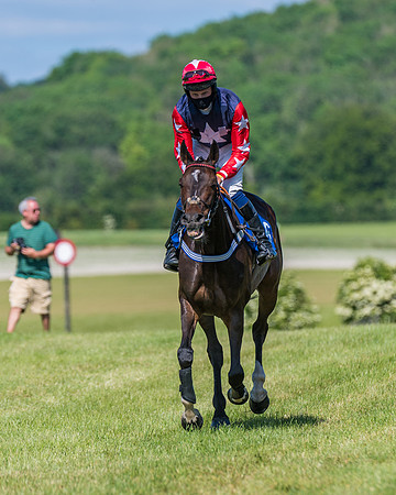 Race 5 - Novice riders (141 of 418)