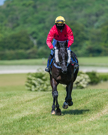 Race 5 - Novice riders (148 of 418)