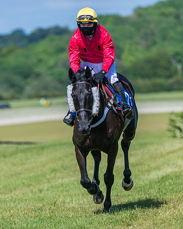 Race 5 - Novice riders (149 of 418)