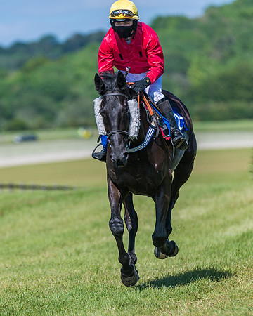 Race 5 - Novice riders (150 of 418)