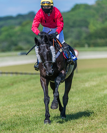 Race 5 - Novice riders (152 of 418)