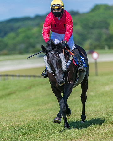 Race 5 - Novice riders (153 of 418)