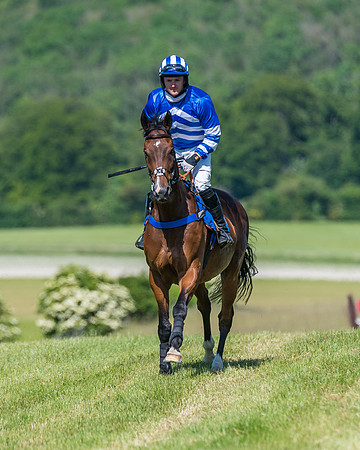 Race 5 - Novice riders (158 of 418)