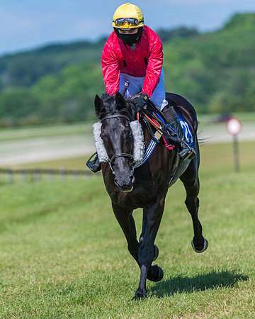 Race 5 - Novice riders (154 of 418)