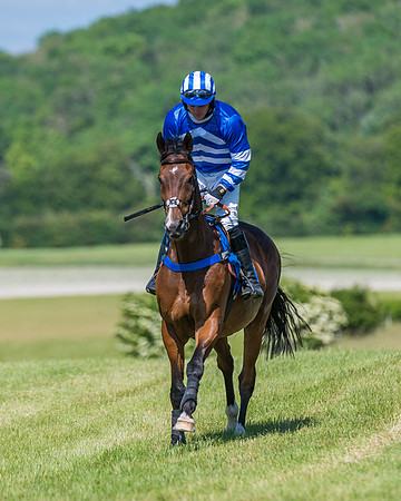 Race 5 - Novice riders (162 of 418)