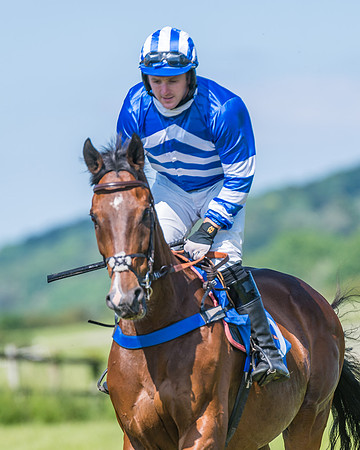 Race 5 - Novice riders (169 of 418)