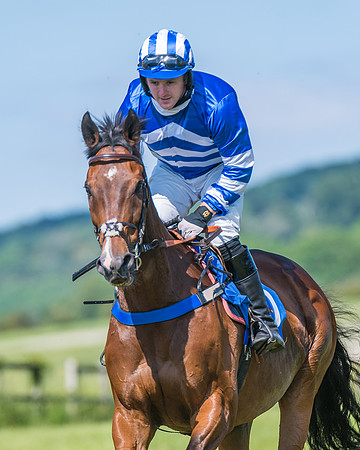 Race 5 - Novice riders (168 of 418)