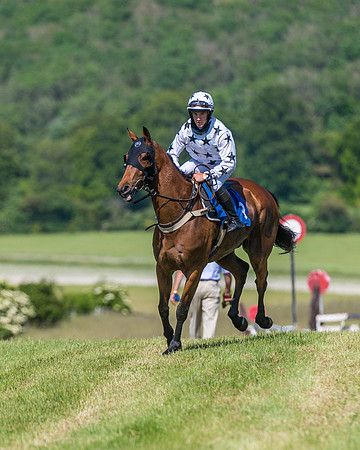Race 5 - Novice riders (170 of 418)