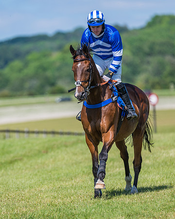 Race 5 - Novice riders (165 of 418)