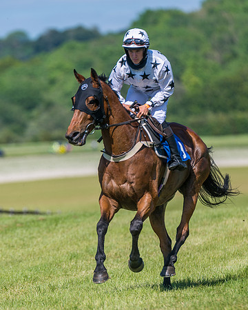 Race 5 - Novice riders (176 of 418)