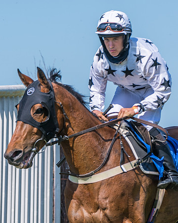 Race 5 - Novice riders (183 of 418)