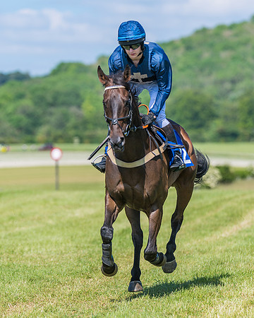 Race 5 - Novice riders (187 of 418)