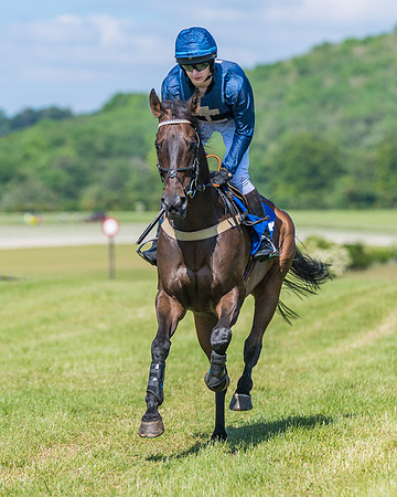 Race 5 - Novice riders (188 of 418)