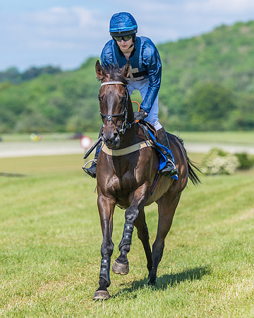 Race 5 - Novice riders (189 of 418)
