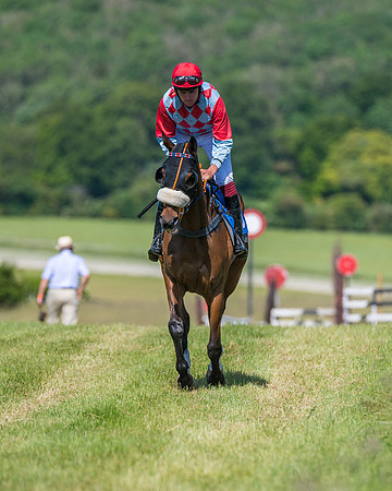 Race 5 - Novice riders (191 of 418)